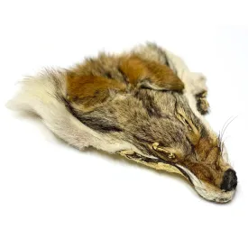 Authentic Coyote Face - Genuine Fur Animal Face for Crafts and Costumes