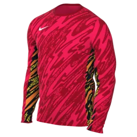 Nike Men's Dri-Fit Gardien V Goalkeeper Jersey LS US