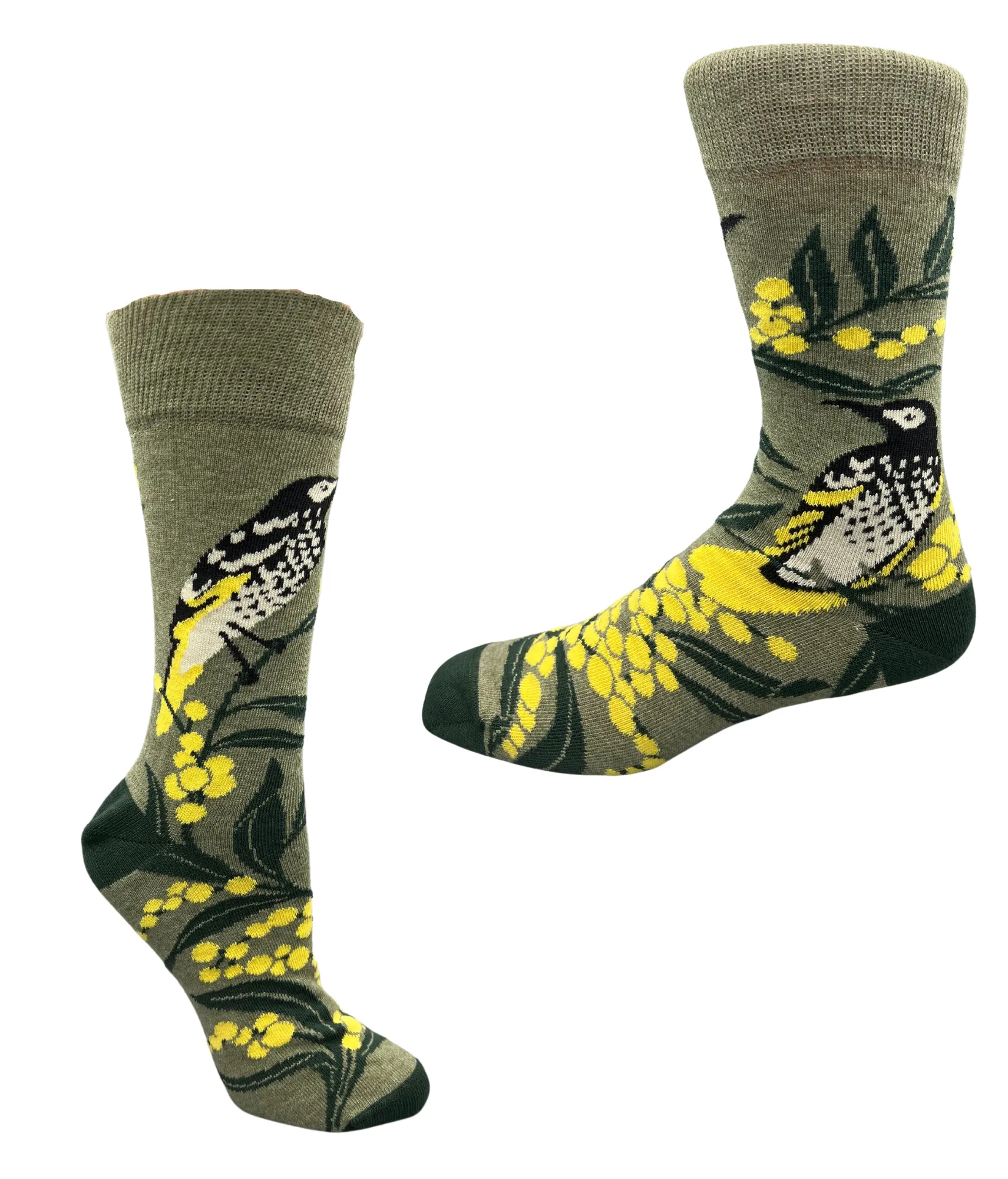 Regent Honey Eater Sock in Medium